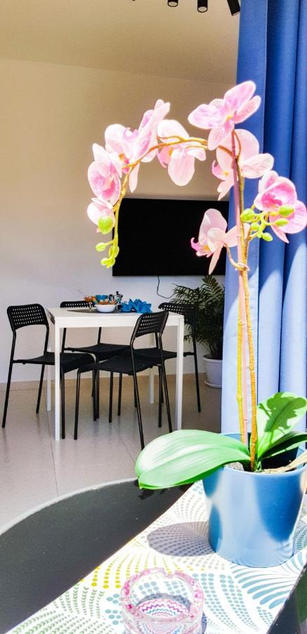 Ke Casetta Tenerife Salvador And Santiago Appartement *